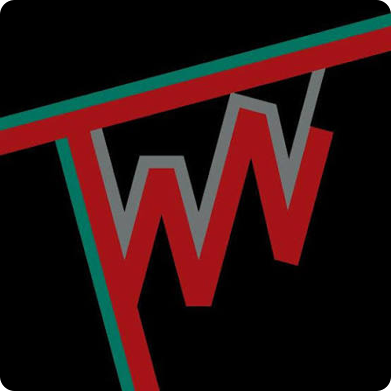 The Women's Network logo